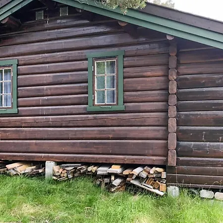 Cozy In With House A Mountain View * Tynset