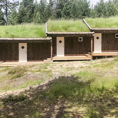 Cozy In With House A Mountain View Holiday home Tynset